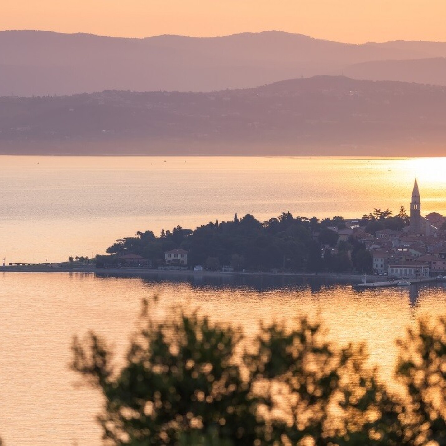 Izola - Home