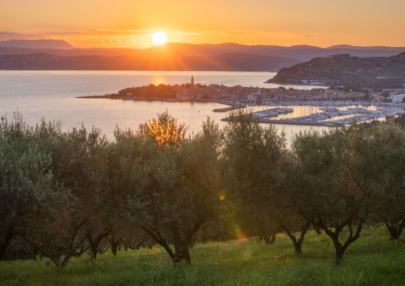 Experiences | Izola